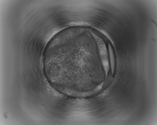 X0000100390983200806271353