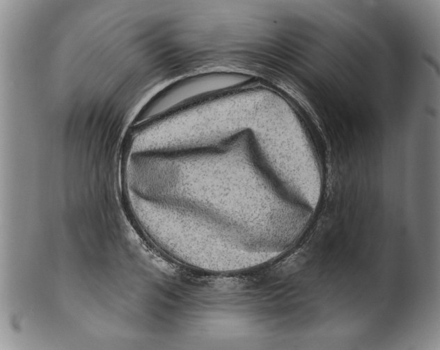 X0000100390984200806271353