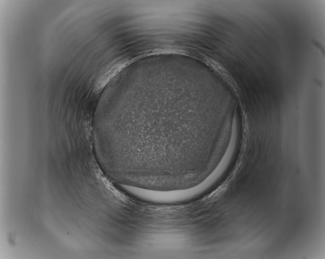 X0000100390985200806271353