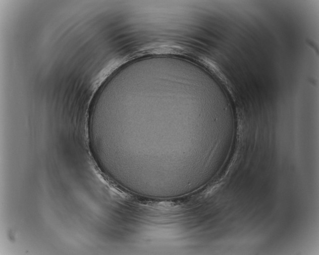 X0000100390986200806271353