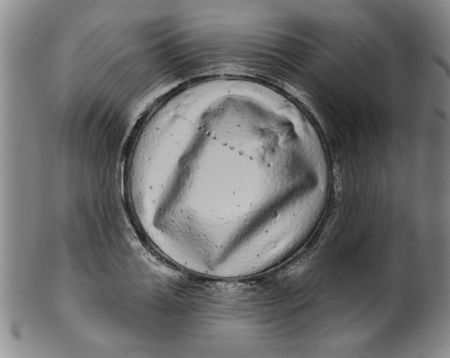 X0000100390987200806271353