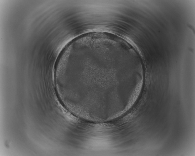 X0000100390988200806271353