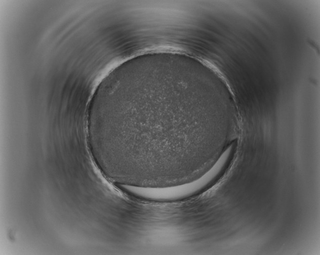 X0000100390989200806271353