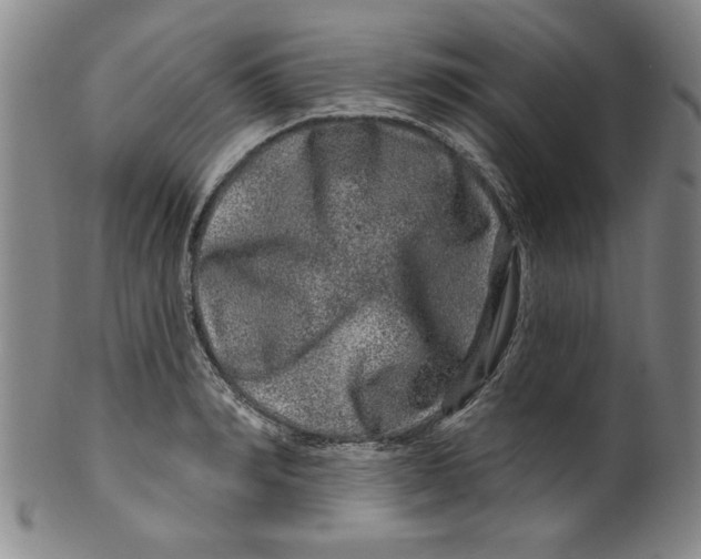 X0000100390990200806271353