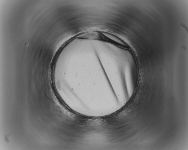 X0000100390991200806271353