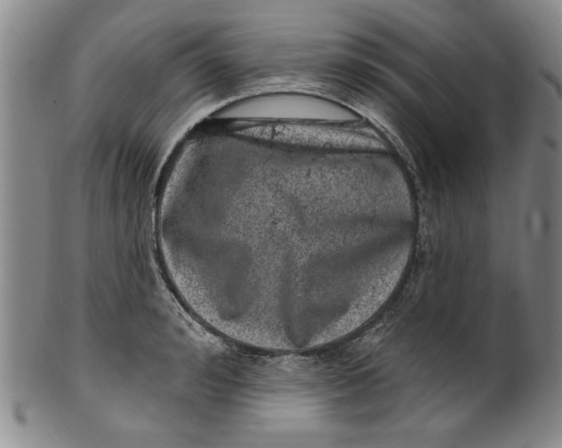 X0000100390992200806271353