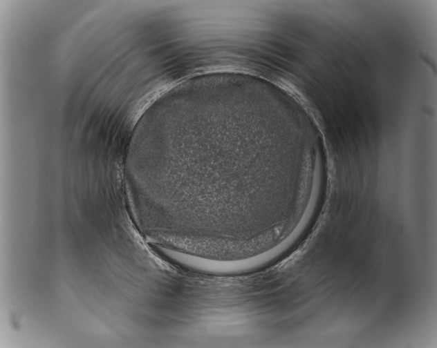 X0000100390993200806271353