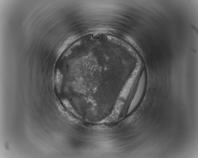 X0000100390994200806271353