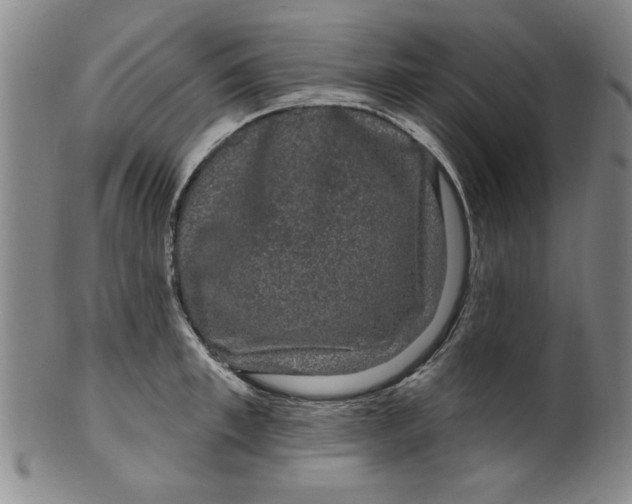 X0000100390997200806271353