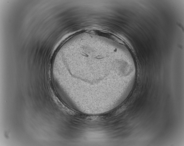 X0000100391000200806271353