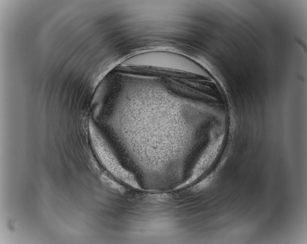 X0000100391001200806271353