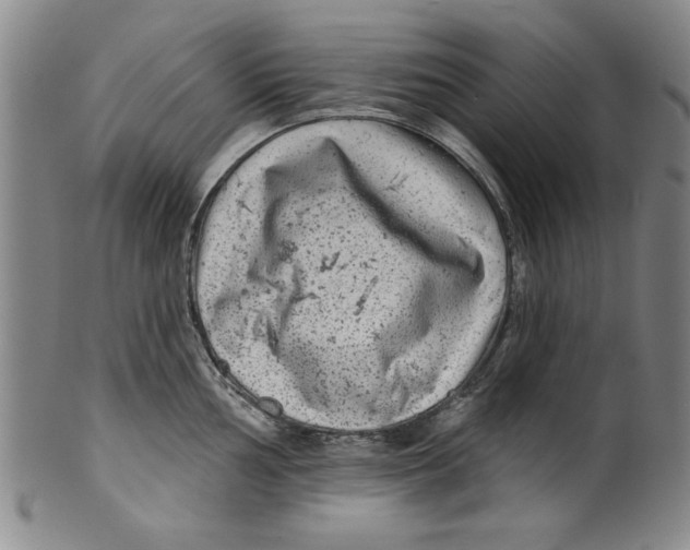 X0000100391002200806271353