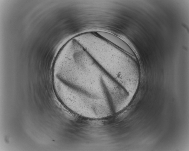 X0000100391004200806271353