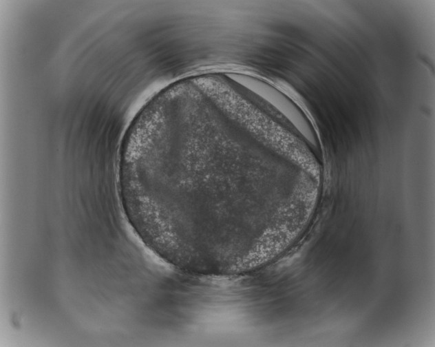 X0000100391005200806271353