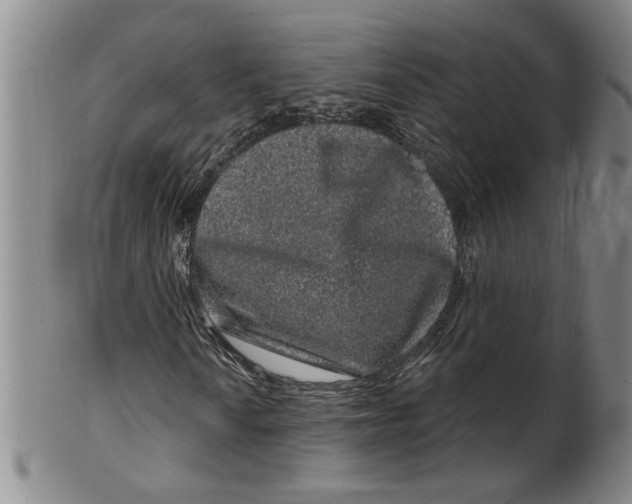 X0000100391010200806271352