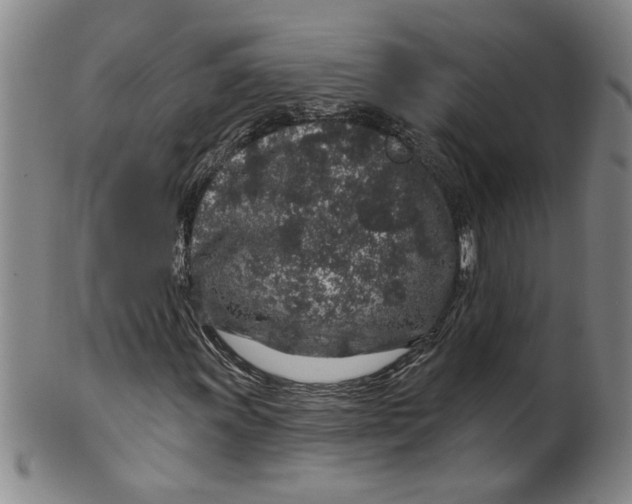 X0000100391011200806271352