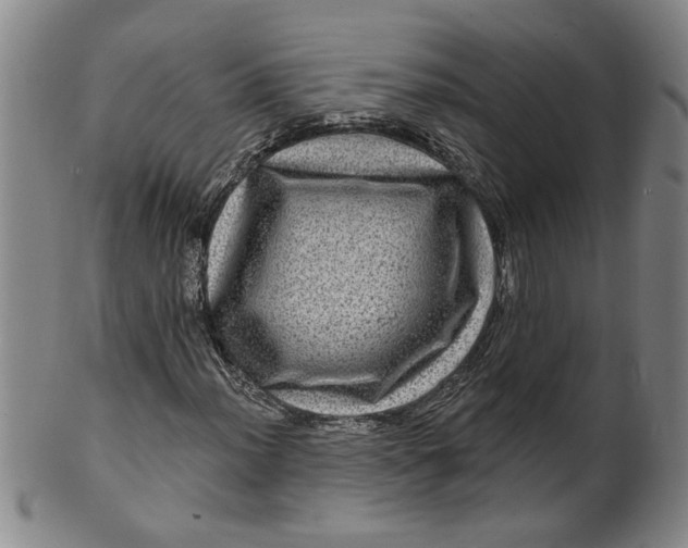 X0000100391012200806271352