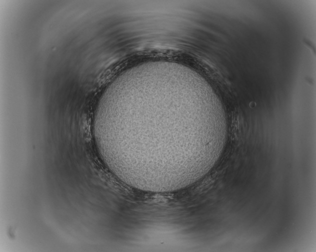 X0000100391013200806271352