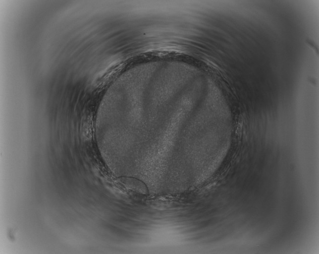 X0000100391014200806271352