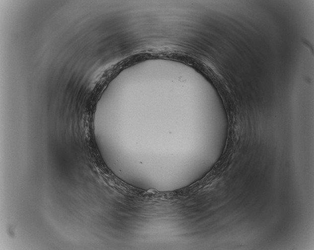 X0000100391016200806271352