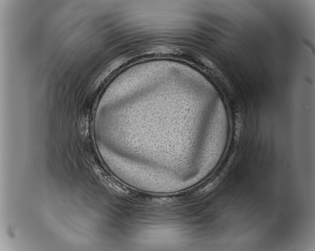 X0000100391017200806271352