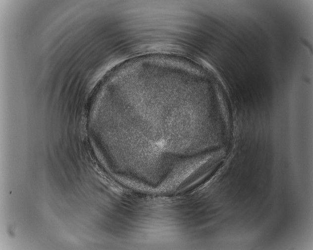 X0000100391019200806271352