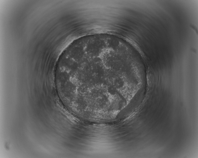 X0000100391023200806271352