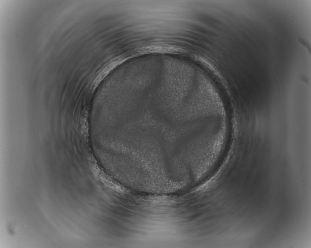 X0000100391025200806271352