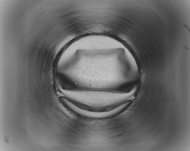 X0000100391026200806271352