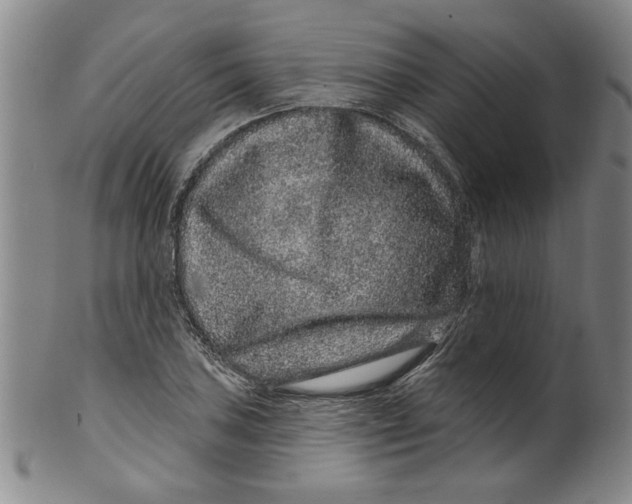 X0000100391027200806271352