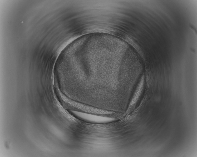 X0000100391028200806271352