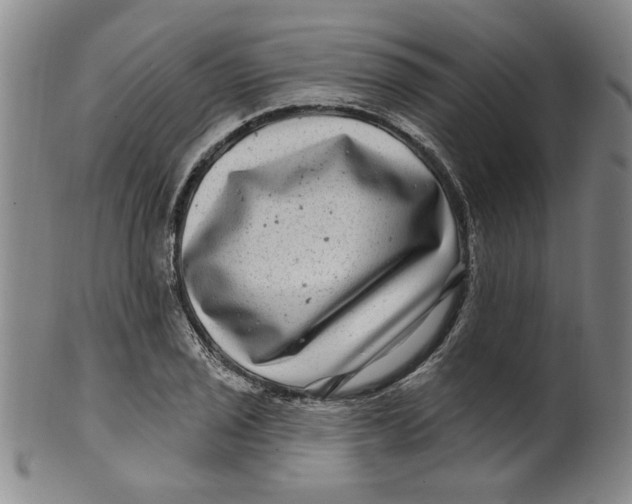 X0000100391029200806271352