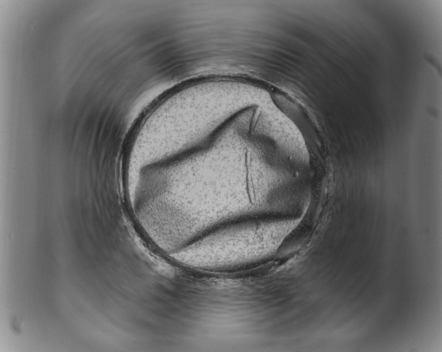 X0000100391030200806271352