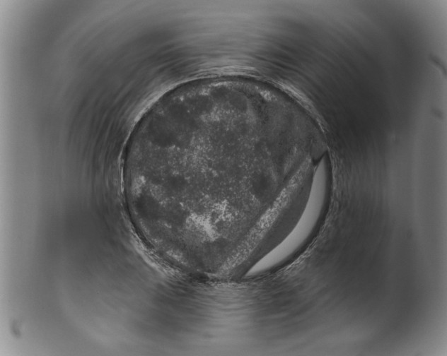 X0000100391031200806271352