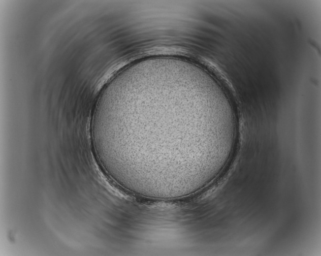 X0000100391033200806271352