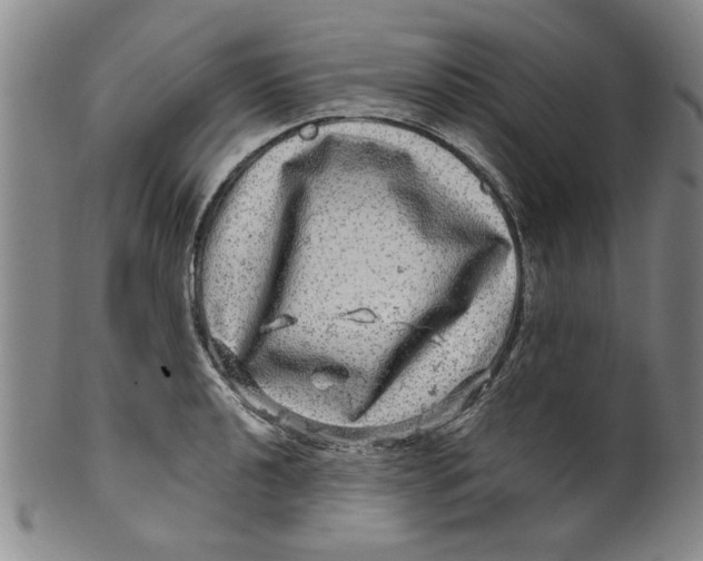 X0000100391040200806271353