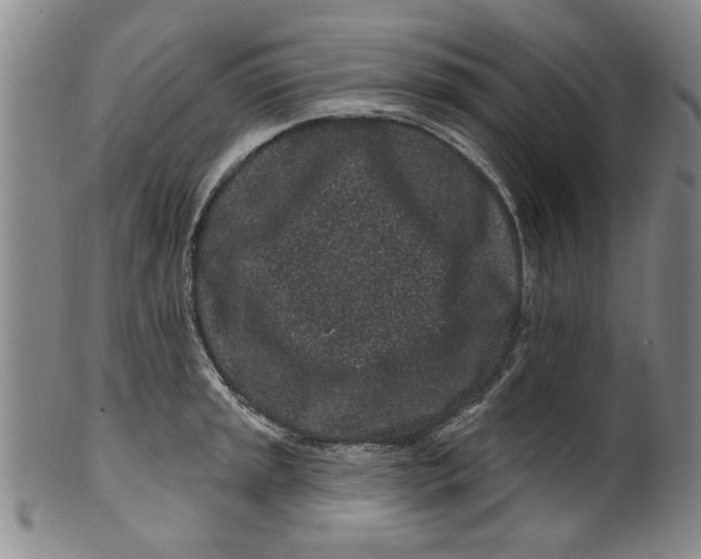 X0000100391045200806271353