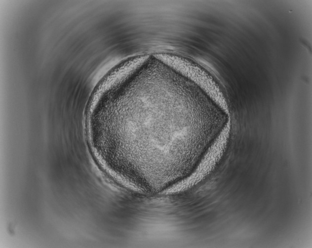 X0000100391047200806271353