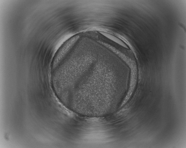 X0000100391048200806271353