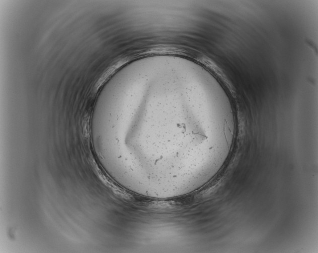 X0000100391049200806271353