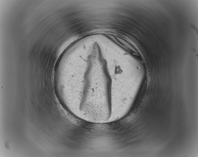 X0000100391050200806271353