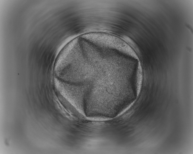 X0000100391052200806271353