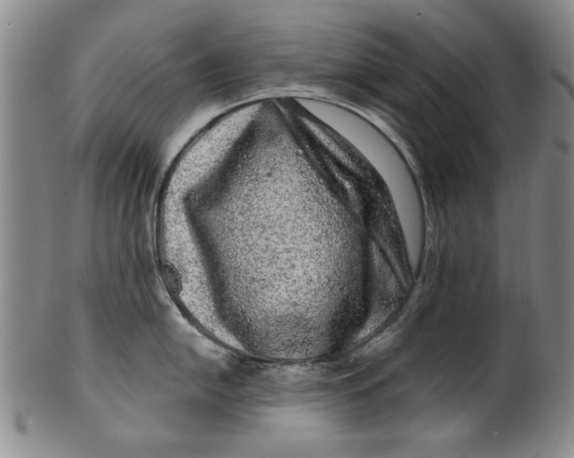 X0000100391054200806271353