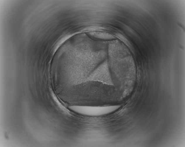 X0000100391055200806271353