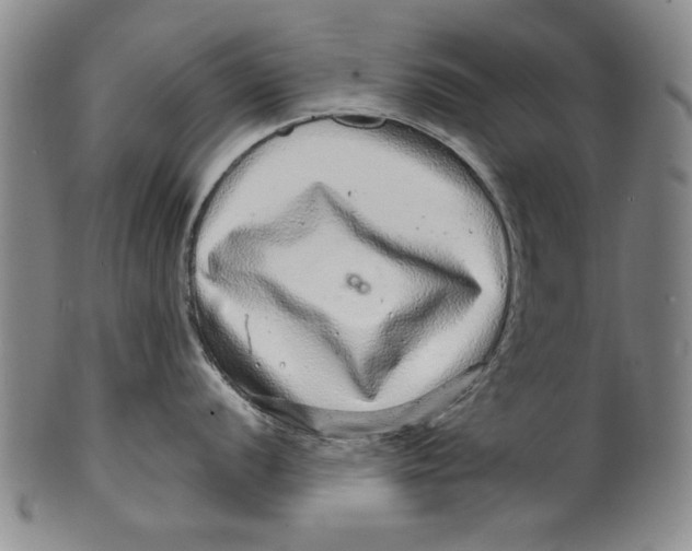 X0000100391056200806271353