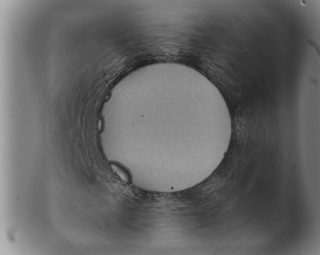 X0000100391057200806271352