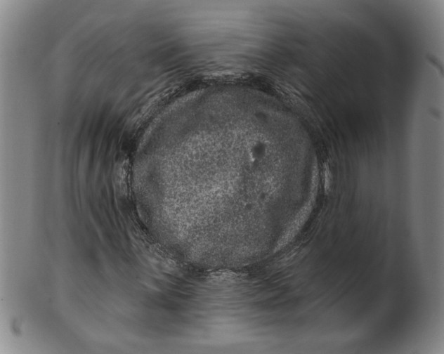 X0000100391059200806271352