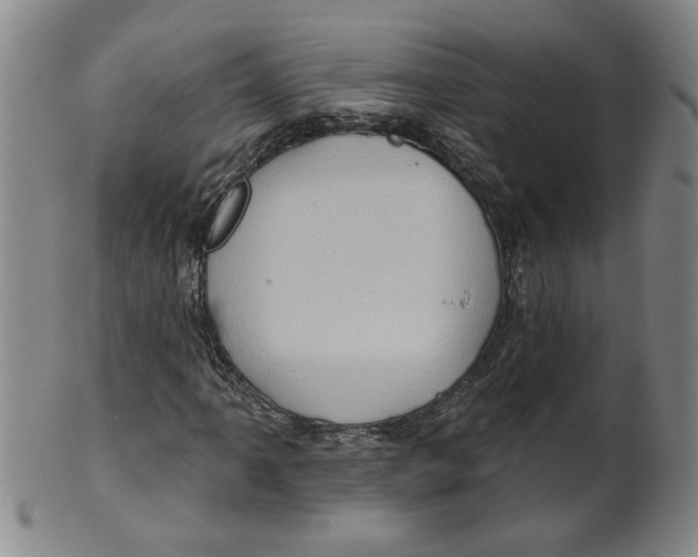 X0000100391061200806271352