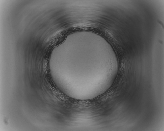 X0000100391062200806271352