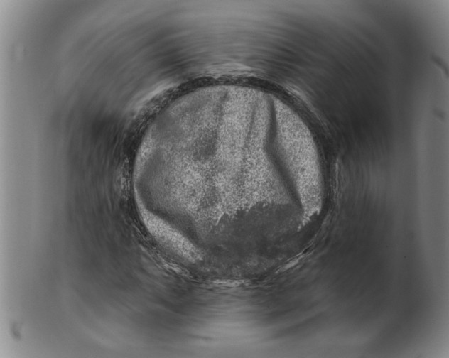 X0000100391063200806271352